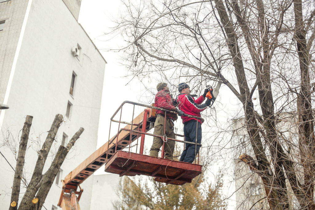 Tabliczki informacyjne: Jak je właściwie umieścić i oznakować