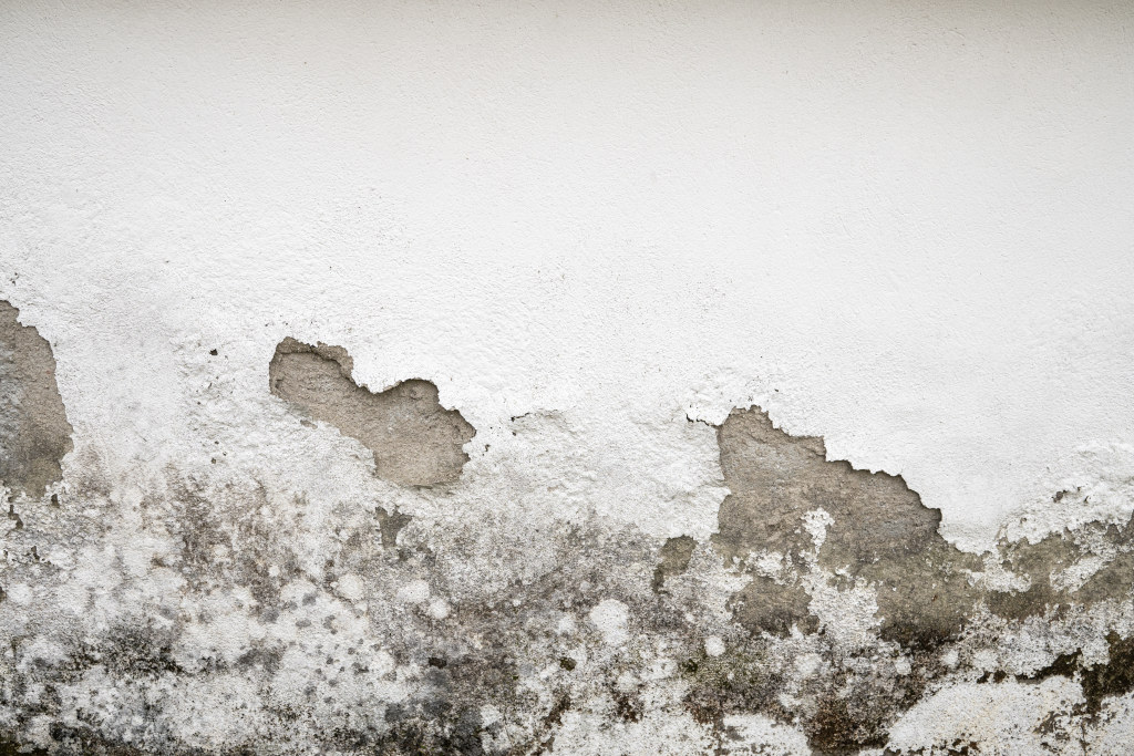 Tabliczki informacyjne: Jak je właściwie umieścić i oznakować